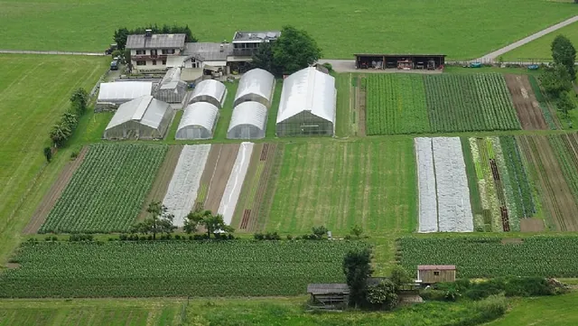 Bio-Hof für Bio-Gemüse und mehr in Ludesch